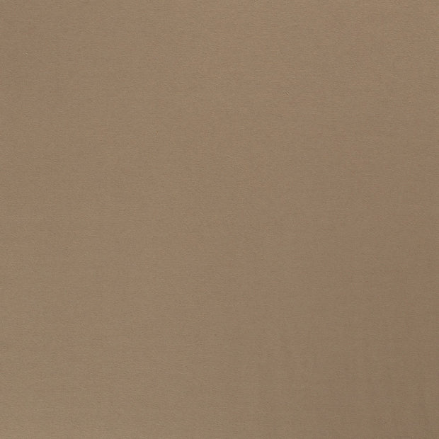 Polaire des Alpes tissu Unicolore Camel