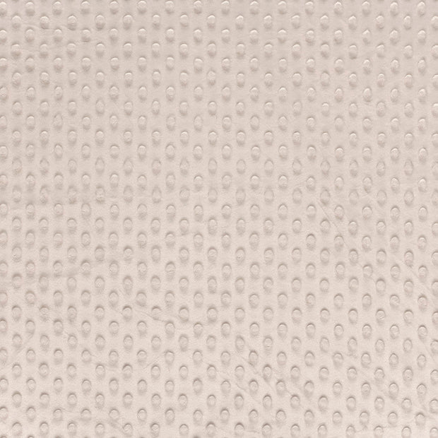 Minky tissu Beige doux 