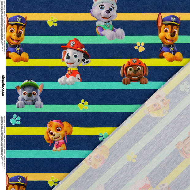 CO Jersey fabrik Paw Patrol digital bedruckt 