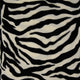 04511/051