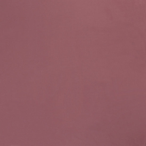 Jersey tissu Pastèque 