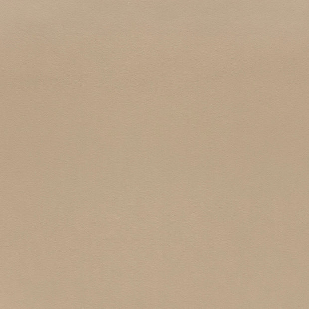 Feutrine tissu Beige mat 