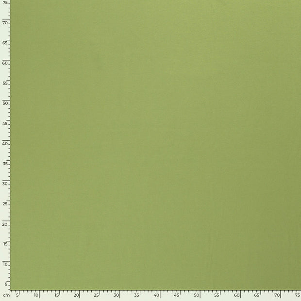 Jersey fabric Unicolour Apple Green