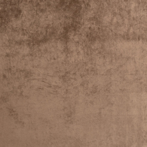 Velours tissu Camel 