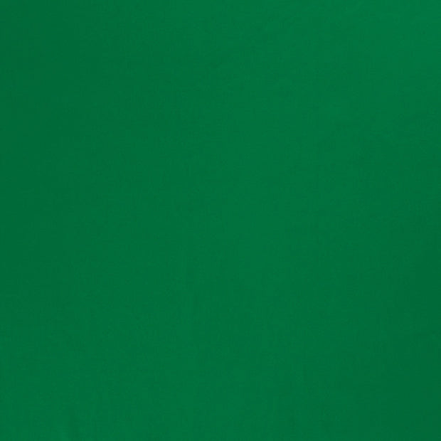 Jersey fabric Green 