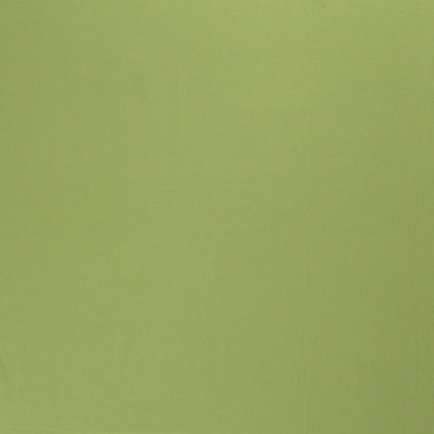Jersey fabric Apple Green 