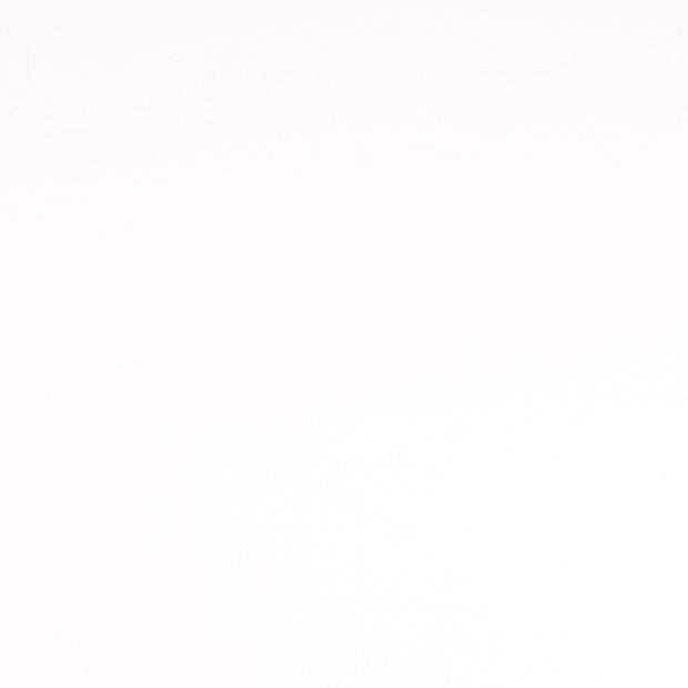 French Terry tissu Unicolore Blanc optique