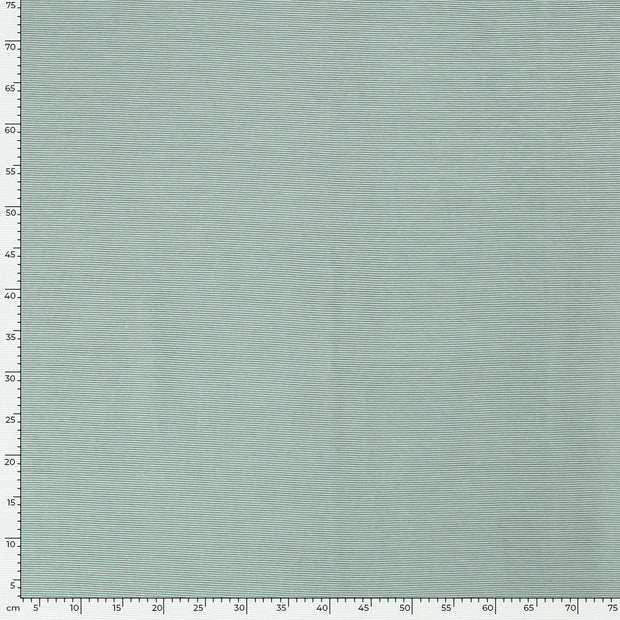 Ottoman jersey fabric Unicolour Ice Blue