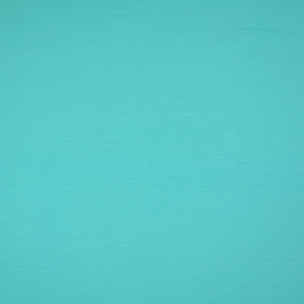 French Terry tissu menthe 