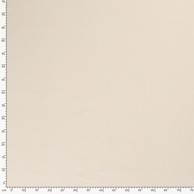 Pinpoint fabric Unicolour Ivory