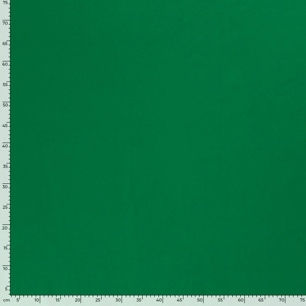 Jersey fabric Unicolour Green