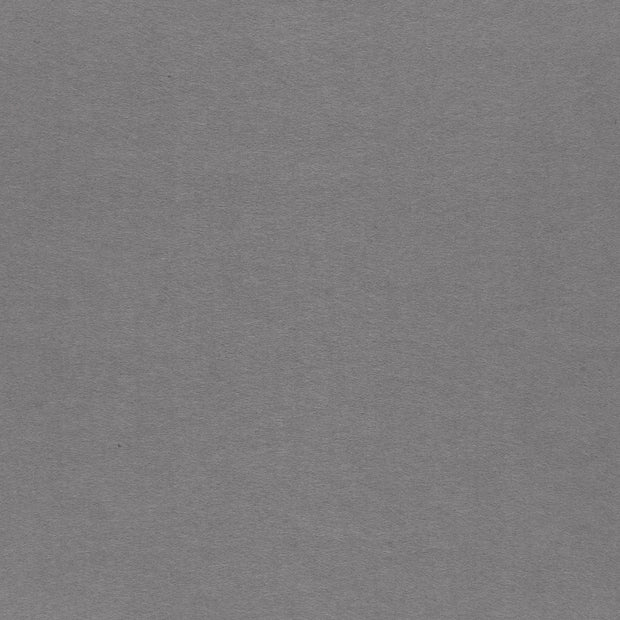 Feutrine 3mm tissu Gris clair mat 