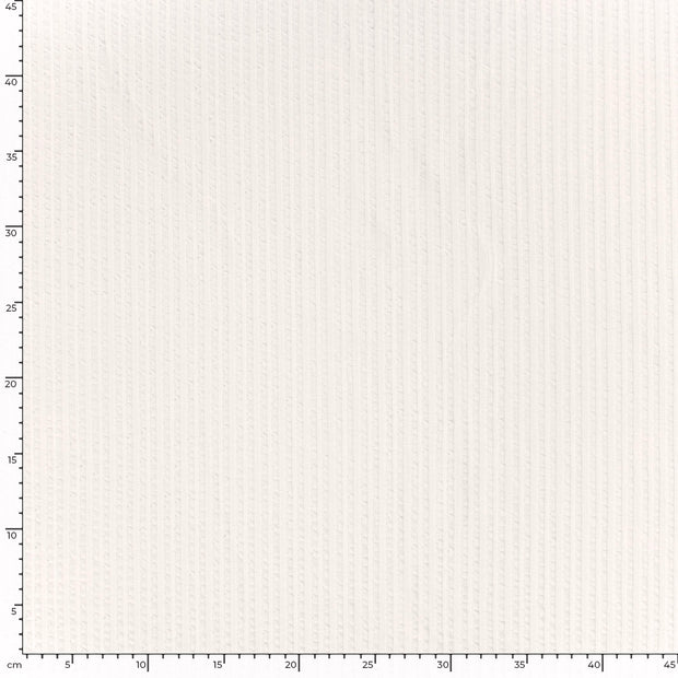 Rib Jacquard tissu Unicolore Blanc cassé