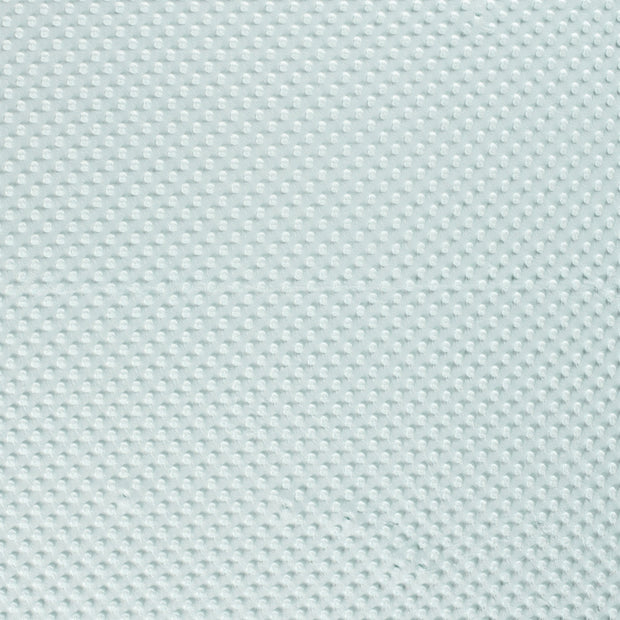 Minky fabric Mint soft 