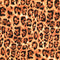 207021.0001