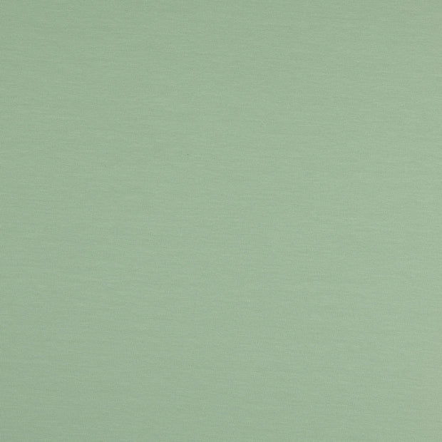 French Terry tissu Unicolore Menthe foncée