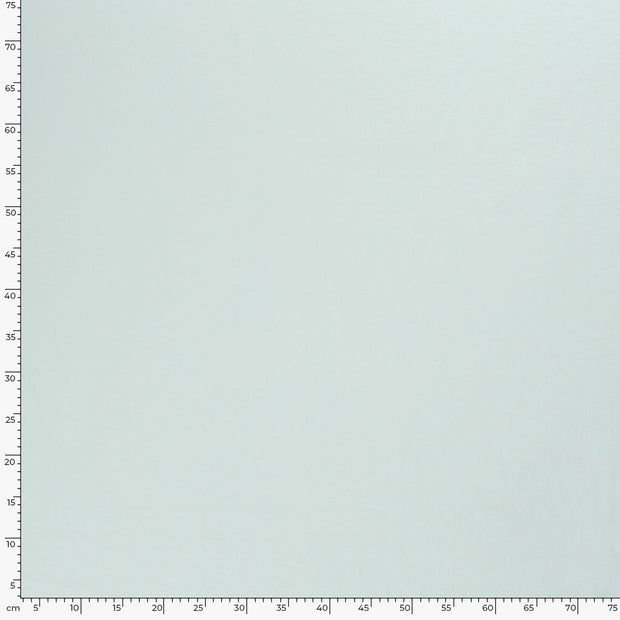 Jersey tissu Unicolore Menthe Glacée