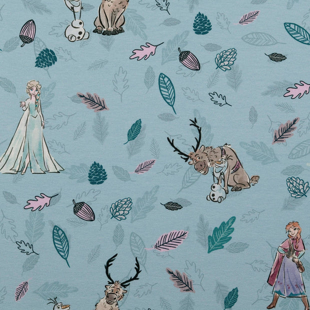  tissu Bleu ciel