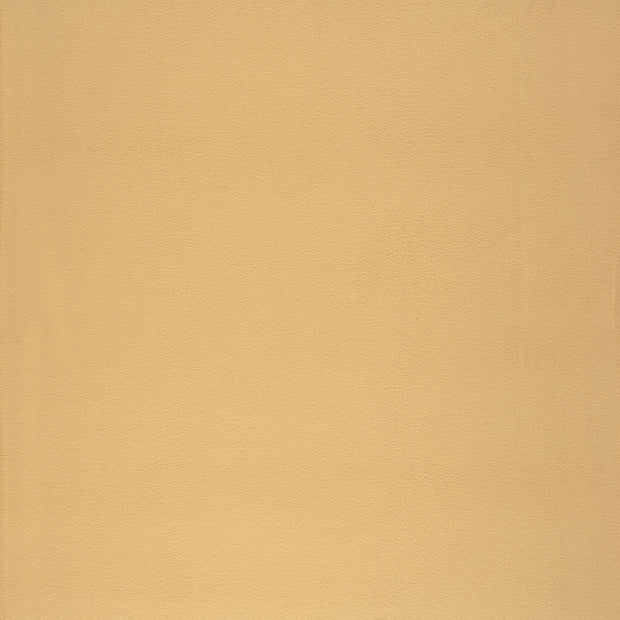 Microfleece fabric Camel soft 