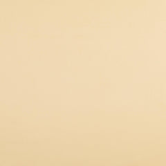 Cotton Satin Unicolour Beige