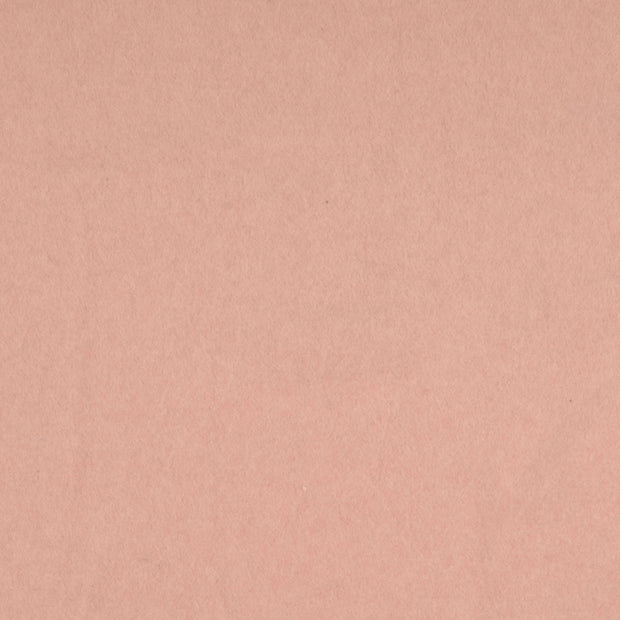 Fleece fabrik Lachsfarbe 