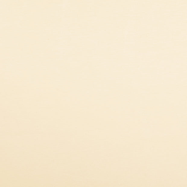 Viscose Jersey fabrik Nude